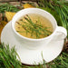 Mountain View Pine Tea Organic Pine Needle Tea