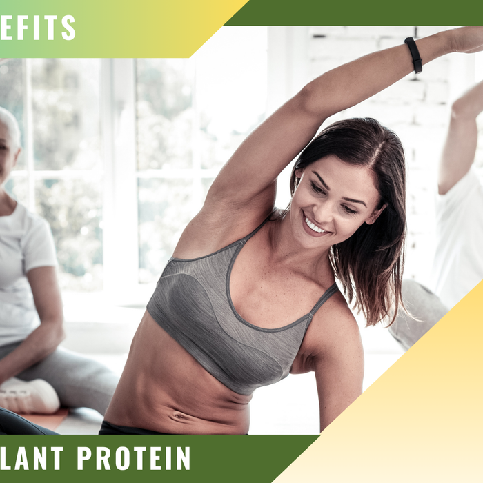 Plant Protein: What It Is, Why It’s Awesome, and How to Use It