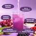 ATP Science NOWAY GOODGUT™ Gut Support Blend Powder Blackcurrant Flavour Benefits Wicked NRG