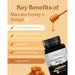 Apollo Australian Manuka Honey (MGO 100+) + Himalayan Shilajit 250g benefits Wicked NRG