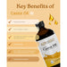 Apollo Organic Castor Oil 500ml a Wicked NRG