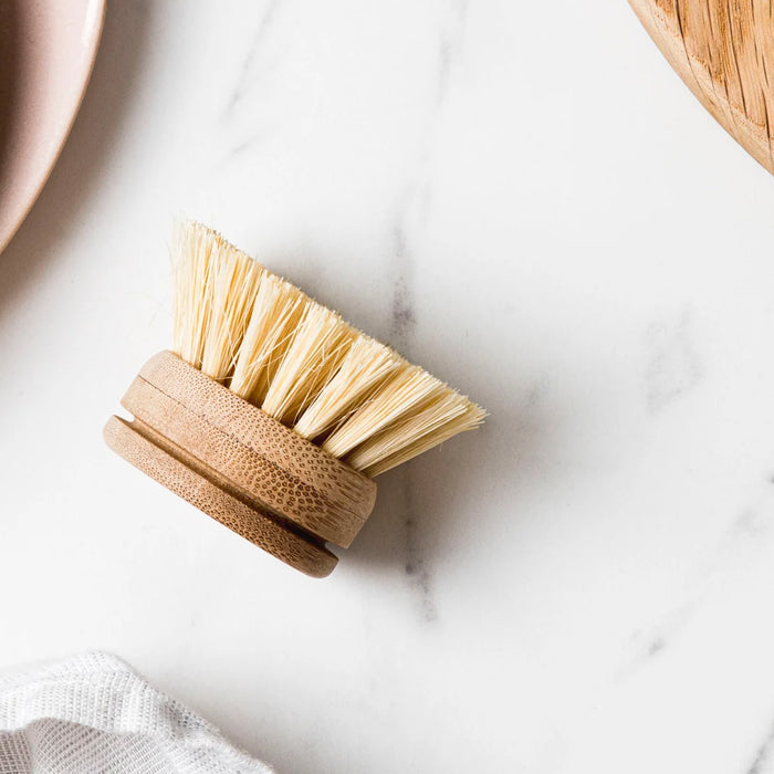 Ever Eco Dish Brush Replacement Head b Wicked Energy