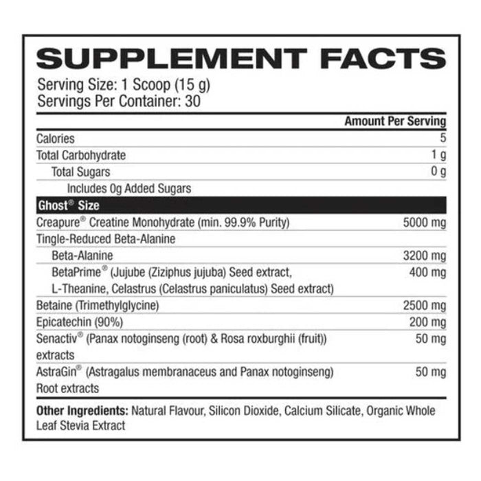 GHOST - SIZE V2, Nutritional Panel, 30 Serves, 450 Grams, 15.9 OZ, Wicked NRG