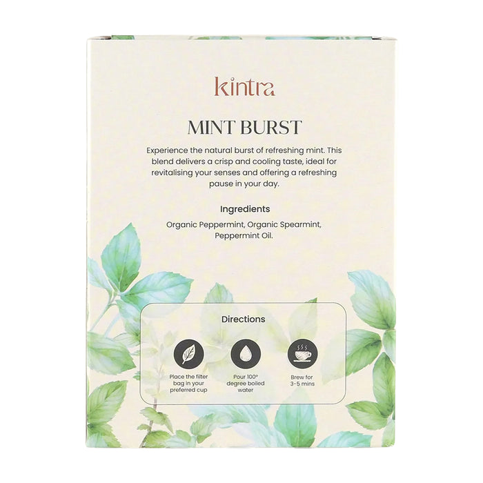 Kintra Blends Herbal Tea Bags Mint Burst 25pk Ingredients Wicked NRG