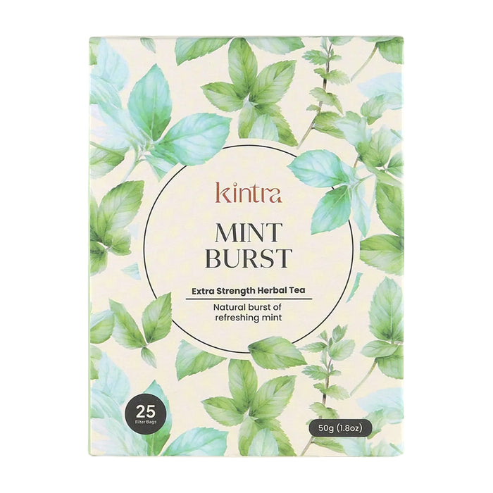 Kintra Blends Herbal Tea Bags Mint Burst 25pk Wicked NRG