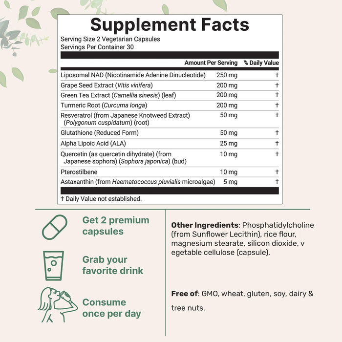 Micro Ingredients Liposomal NAD+ 1000mg 60 Caps Nutritional Panel Wicked NRG