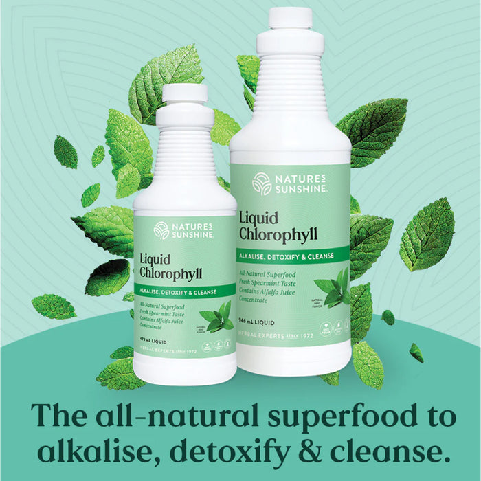 Nature's Sunshine Liquid Chlorophyll 473ml Benefits Wicked NRG