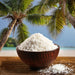Organic Desiccated Coconut 100 Grams Wicked NRG