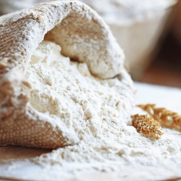 Organic Premium White Bakers Flour