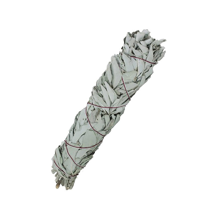 SaltCo Organic Smudge Stick Californian White Sage 14cm  Wicked NRG
