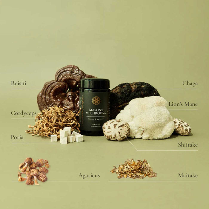 Superfeast Mason's Mushrooms Variety of Mushrooms