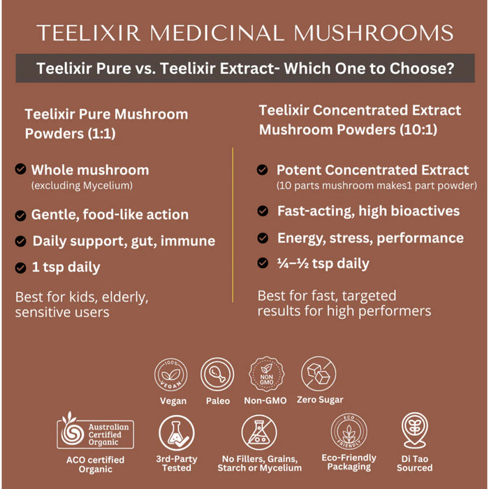Teelixir Organic Cordyceps Mushroom 50g Benefits Wicked NRG