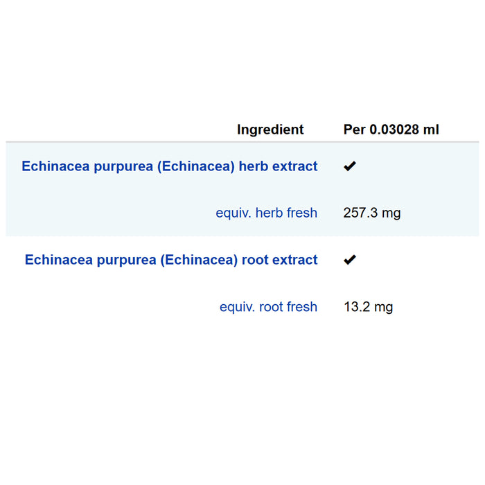 Vogel Organic Echinaforce Protect 50ml Ingredients Wicked NRG