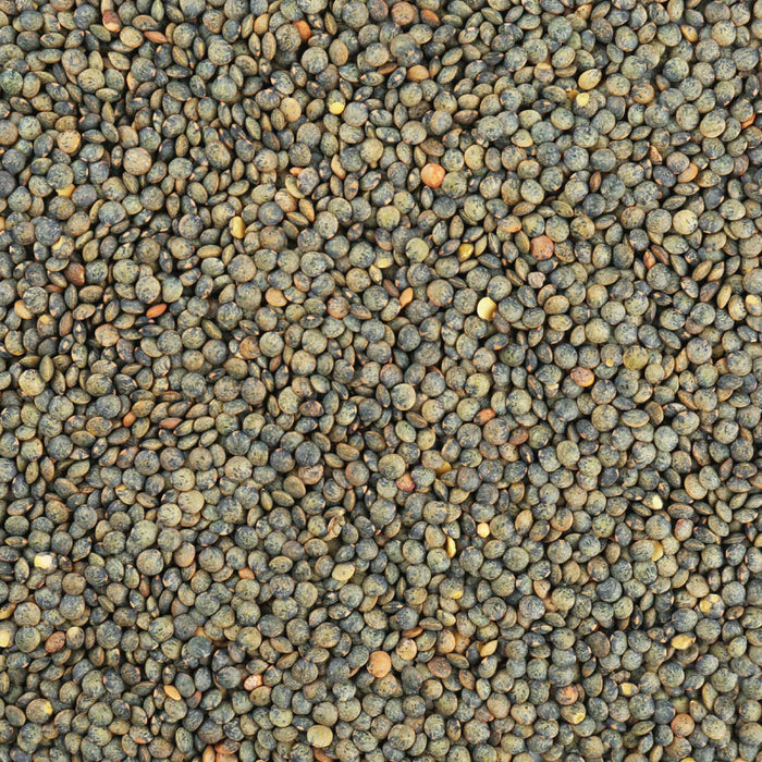 Honest to Goodness Organic French Style Green Lentils (6997075427528)