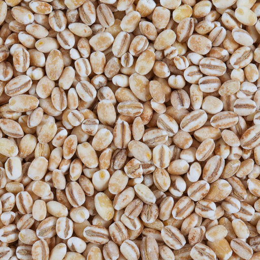 Honest to Goodness Organic Pearled Barley