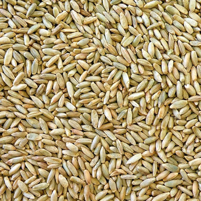 Honest to Goodness Organic Rye Grain