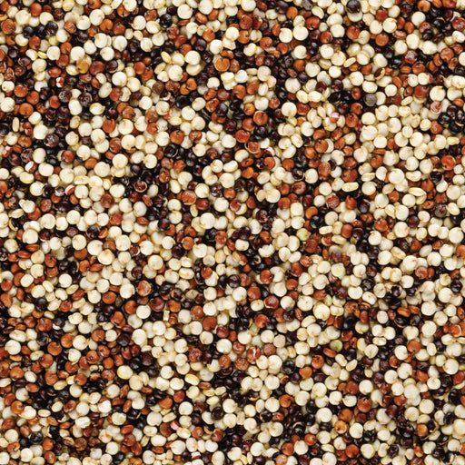 Honest to Goodness Organic Tricolour Quinoa (6997097611464)