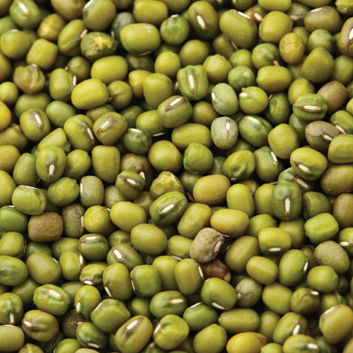 Honest to Goodness Organic Mung Beans (7015367508168)