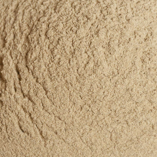 Organic Burdock Root Powder (6810592477384)