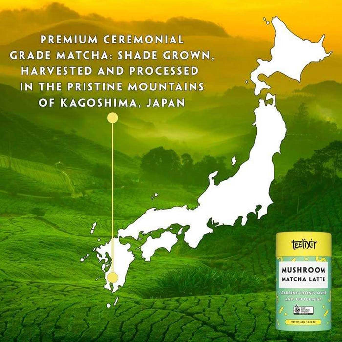 TEELIXIR Organic Mushroom Matcha Latte, Lion's Mane and Peppermint,  60 grams, Wicked NRG, (7024393322696)